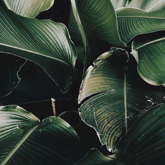 Meet your Posher, Hania - Picture 1 of 1